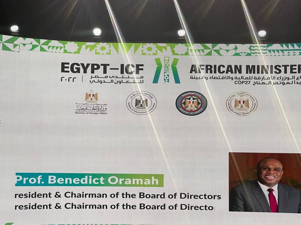 Attending the Egypt International Cooperation and Development Finance Forum
