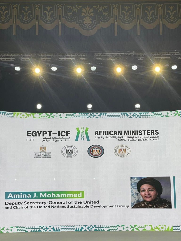 Attending the Egypt International Cooperation and Development Finance Forum