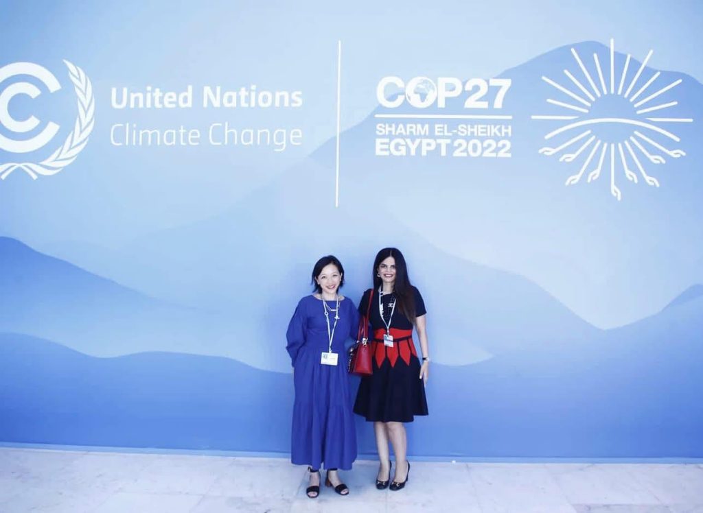 المشاركة في يوم التمويل ضمن فعاليات COP27 بشرم الشيخ