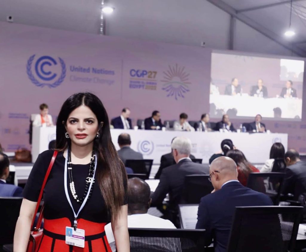 المشاركة في يوم التمويل ضمن فعاليات COP27 بشرم الشيخ