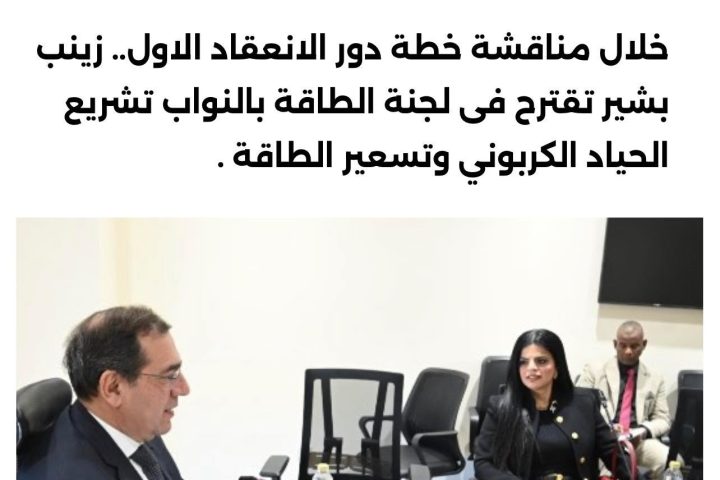 مقترحات الطاقة النظيفة والحياد الكربوني أمام لجنة الطاقة والبيئة