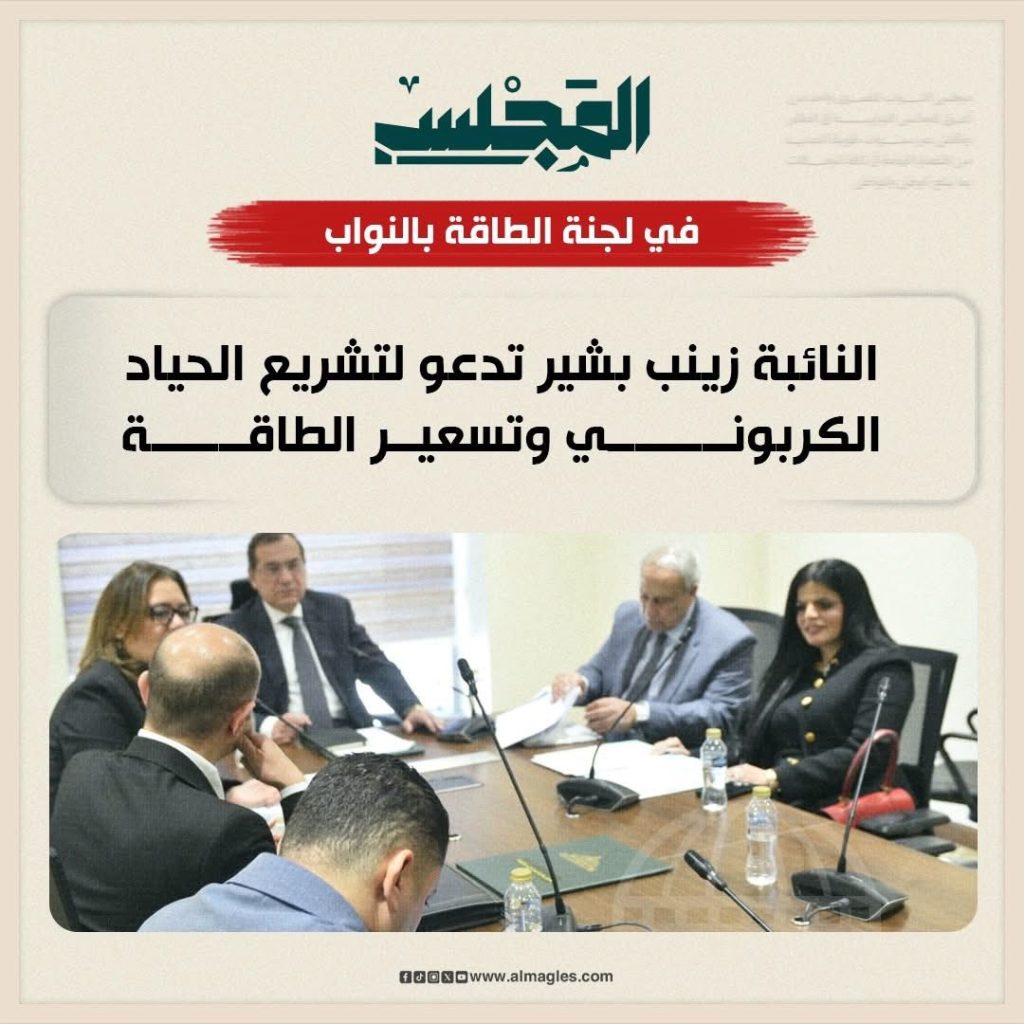 السيارات الكهربائية والاستدامة ضمن أولويات لجنة الطاقة