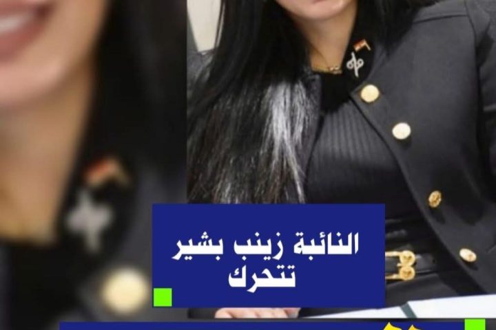 تشريعات الحياد الكربوني وحماية الصناعة والصادرات المصرية