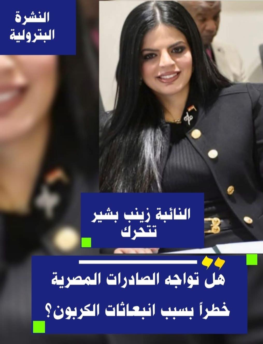 تشريعات الحياد الكربوني وحماية الصناعة والصادرات المصرية